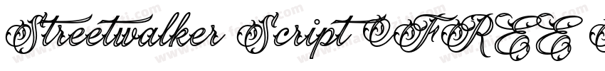 Streetwalker Script (FREE PERSO字体转换